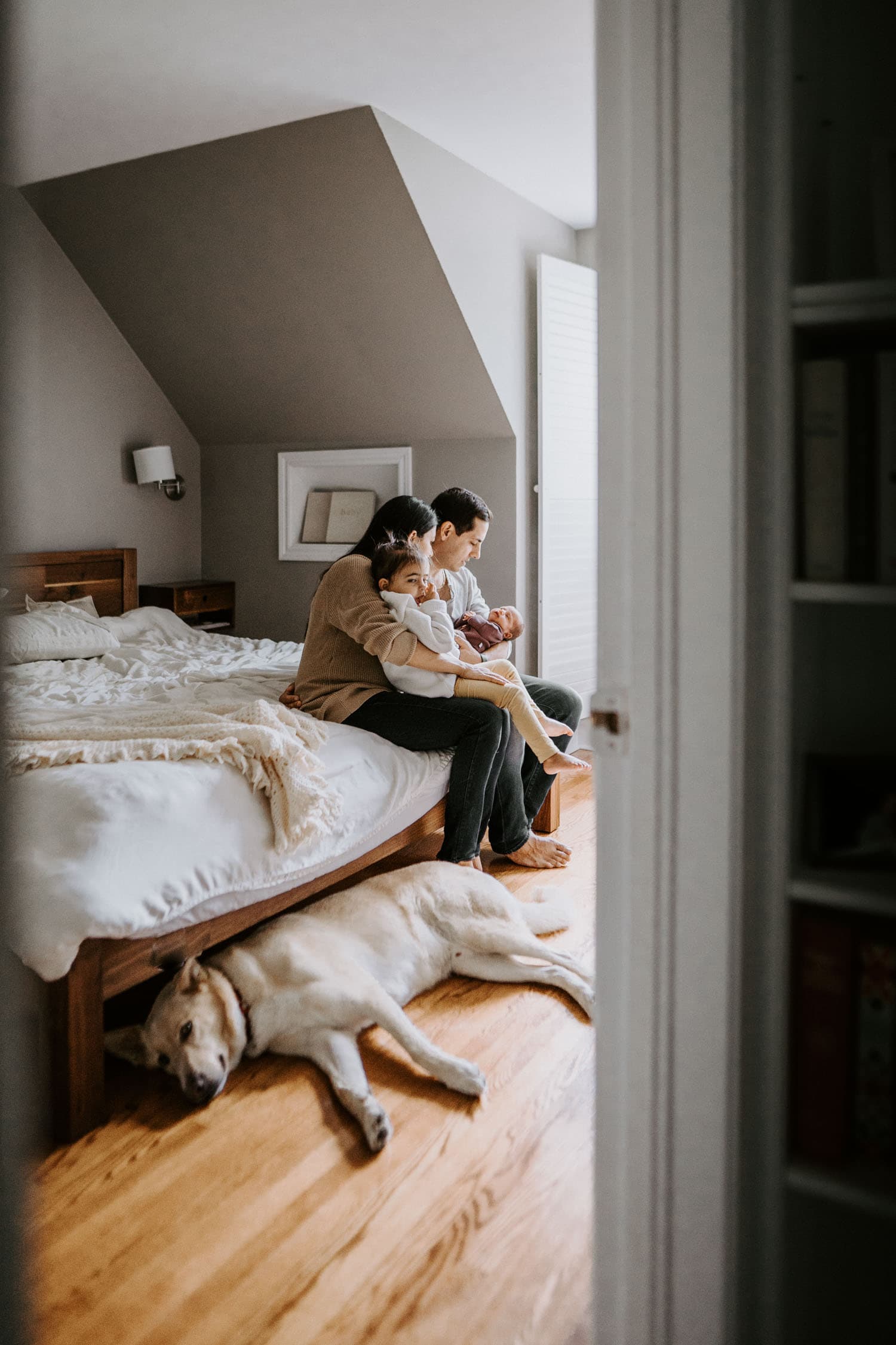 family sitting on corner of bed with new baby while big dog lays on the floor by their feet
